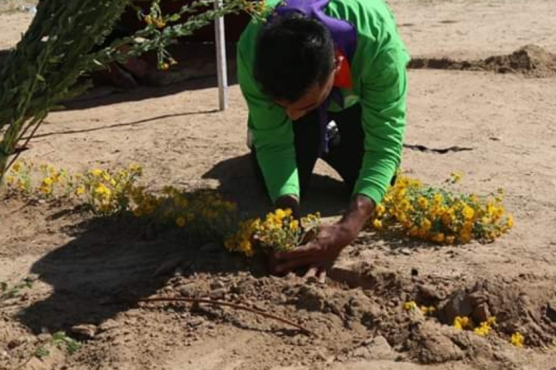 تلبية لدعوة الاتحاد العربي للتطوع..المركز الفلسطيني للتطوع بنفذ نشاط تطوعي توعوي حول التسامح