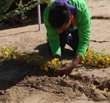 تلبية لدعوة الاتحاد العربي للتطوع..المركز الفلسطيني للتطوع بنفذ نشاط تطوعي توعوي حول التسامح